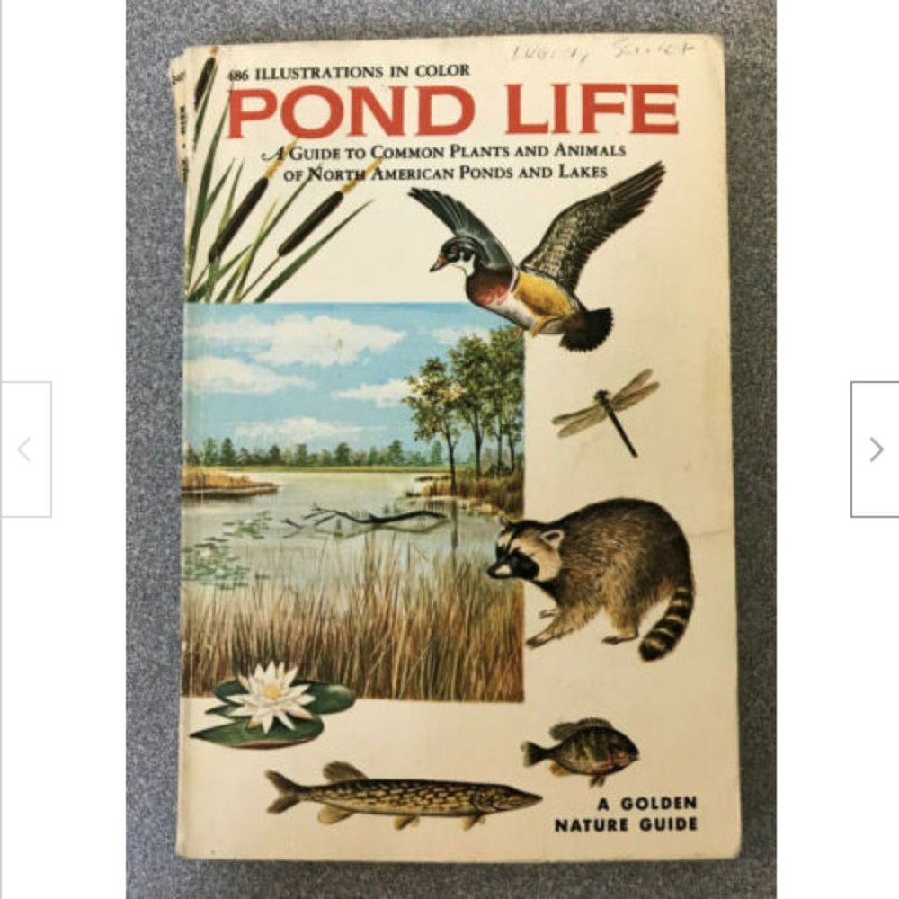 Vtg Pond Life Common Plants & Animals Golden Nature Pocket Guide 1967 G. Reid